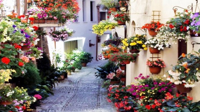 Vicolo di Spello Incontri per le Strade