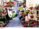 Incontri per le Strade