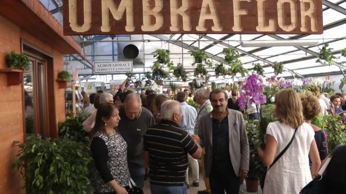 Inaugurato Umbraflor, il vivaio più grande dell'Umbria
