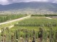 Umbraflor, inugurazione presso Vivaio di Spello