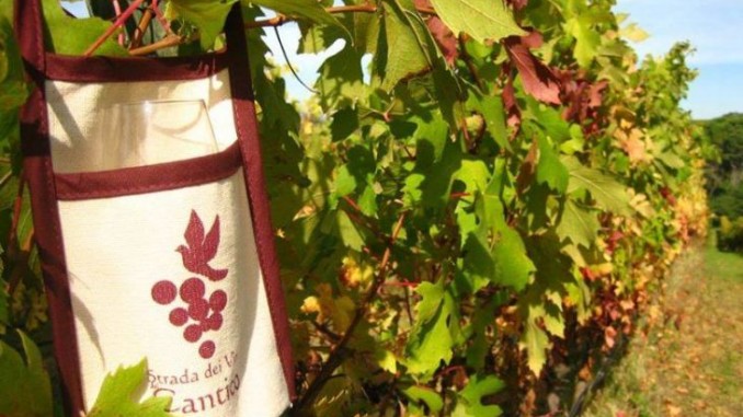 Olio e Vino insieme per un matrimonio di “eccellenza”!