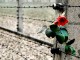 Auschwitz liberata, per non dimenticare, iniziativa a Cannara L’incontro è aperto al pubblico ed è dedicato alla celebrazione del giorno della Memoria