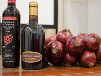 Vernaccia di Cannara, riconoscimento del vitigno autoctono