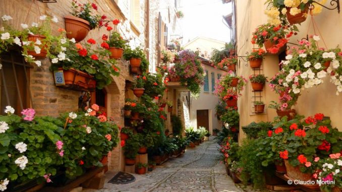 Concorso Finestre, Balconi e Vicoli fioriti, 73 concorrenti in gara