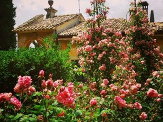 I Giorni delle Rose, grande successo a Villa Fidelia
