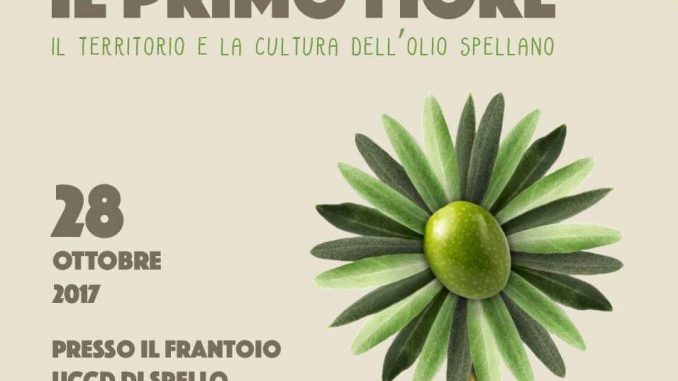 Il primo fiore, territorio e la cultura dell’olio spellano al centro dell’evento