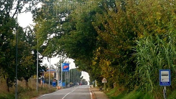 Cominciati i lavori per l’efficientamento della pubblica illuminazione di Capitan Loreto Cominciati i lavori per l’efficientamento della pubblica illuminazione di Capitan Loreto