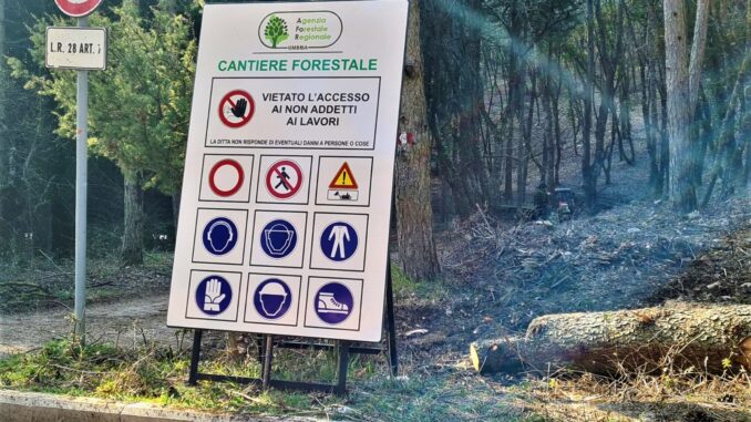 Parco Monte Subasio: in corso nel comune Spello interventi manutenzione
