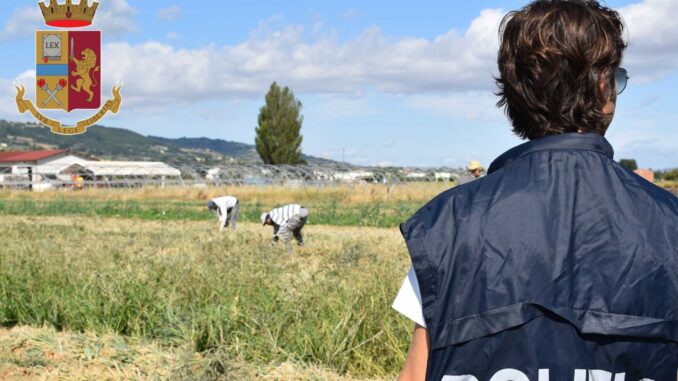 2 (7) Caporalato a Cannara, 8 lavoratori extracomunitari “assunti” da un 39enne. Raccoglievano cipolle per 40 euro alla giornata