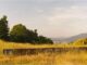 Cannara, campagna di scavo archeologico a rischio?