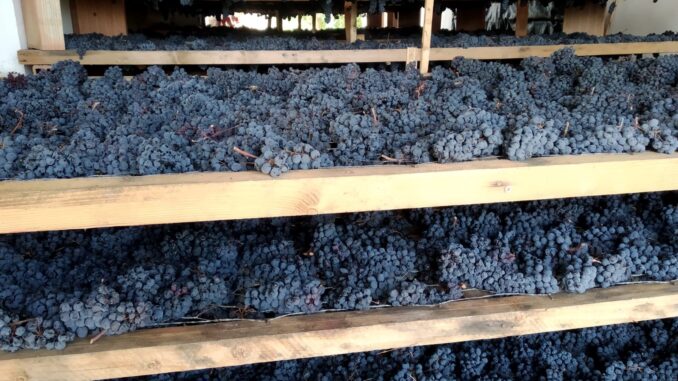 Celebrazione della Vernaccia di Cannara: Gusto, Musica e Tradizione Umbra. Dal 5 al 7 e dal 12 al 14 aprile, il borgo umbro si anima con cibo
