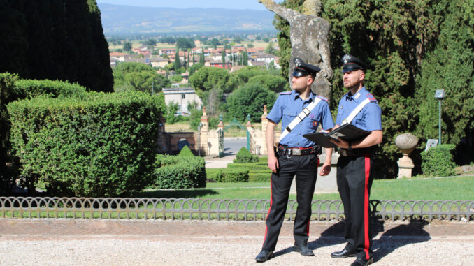 Furto di piante tartufigene a Spello, due denunciati dai Carabinieri
