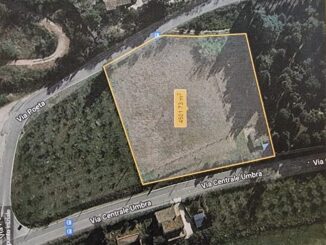 Provincia di Perugia Acquista Terreno per Nuova Limonaia