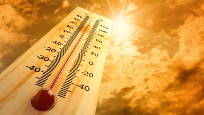 Emergenza Calore: Rinnovato il Patto tra Spello e Auser Foligno