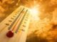Emergenza Calore: Rinnovato il Patto tra Spello e Auser Foligno