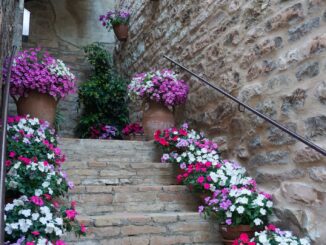 Il Concorso “Finestre, Balconi e Vicoli fioriti” compie 20 anni