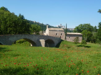 Un nuovo weekend all'insegna di "Umbria, i sapori del Cinema" 