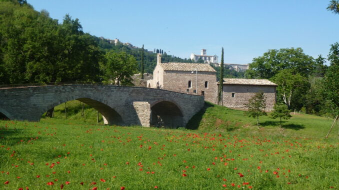 Un nuovo weekend all'insegna di "Umbria, i sapori del Cinema" 