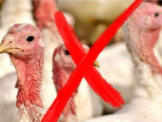  Il Consiglio di Stato sostiene il Comitato Campodonico e Ca' Rapillo nella battaglia per la trasparenza ambientale