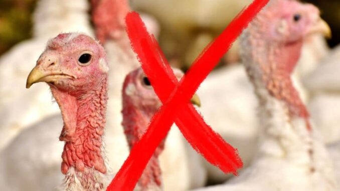  Il Consiglio di Stato sostiene il Comitato Campodonico e Ca' Rapillo nella battaglia per la trasparenza ambientale