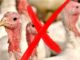  Il Consiglio di Stato sostiene il Comitato Campodonico e Ca' Rapillo nella battaglia per la trasparenza ambientale
