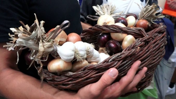 Alla Festa della Cipolla di Cannara, oltre 500 volontari