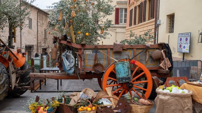 L’Umbria dell’olio in festa tra frasche, musica e sapori
