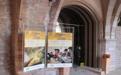 Infiorate Spello uniscono arte sociale e inclusione attiva