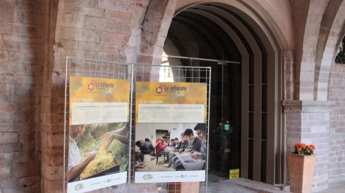 Infiorate Spello uniscono arte sociale e inclusione attiva