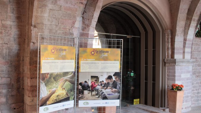 Infiorate Spello uniscono arte sociale e inclusione attiva