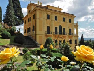 RosaFidelia illumina Villa Fidelia con la forza della natura